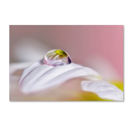 Trademark Fine Art Jesus M Garcia 'Magical Drop' Canvas Art, 16x24 1X02326-C1624GG